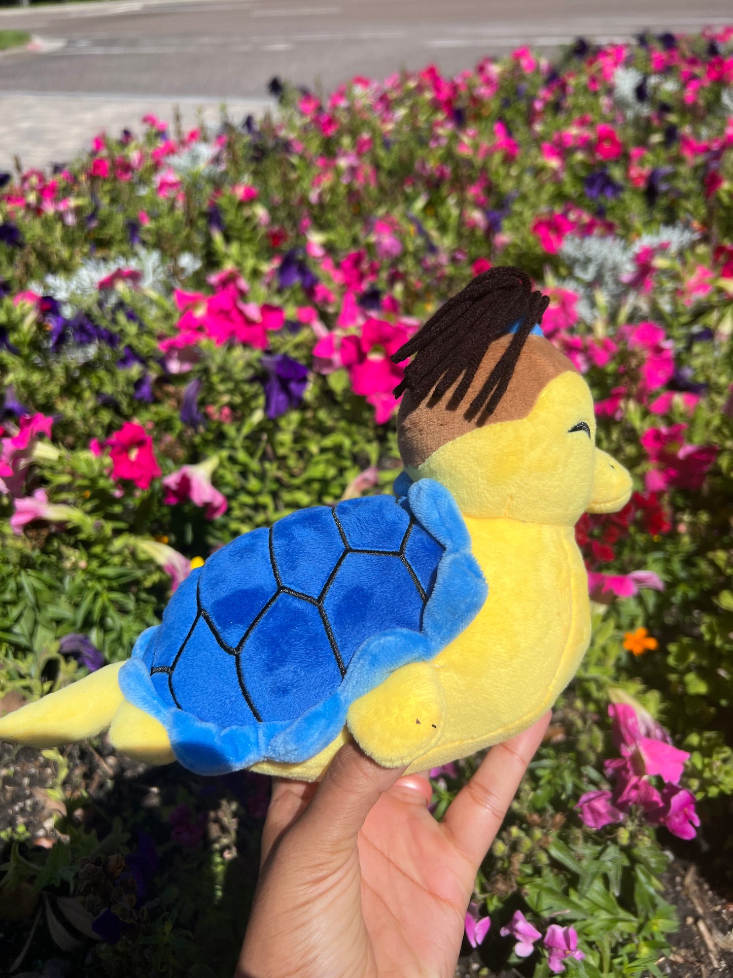 Sokka Turtle Duck Plush