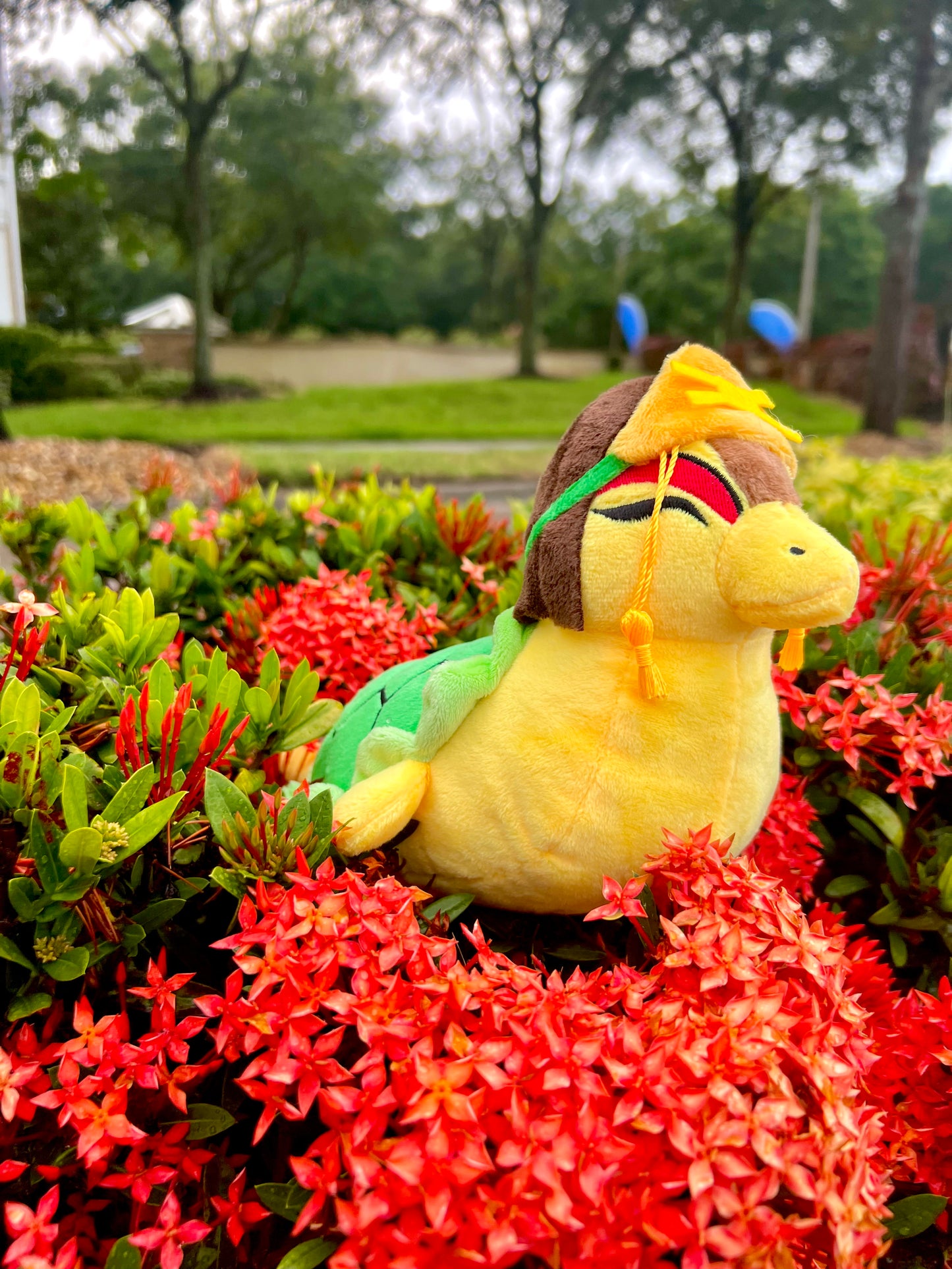 Suki Turtle Duck Plush