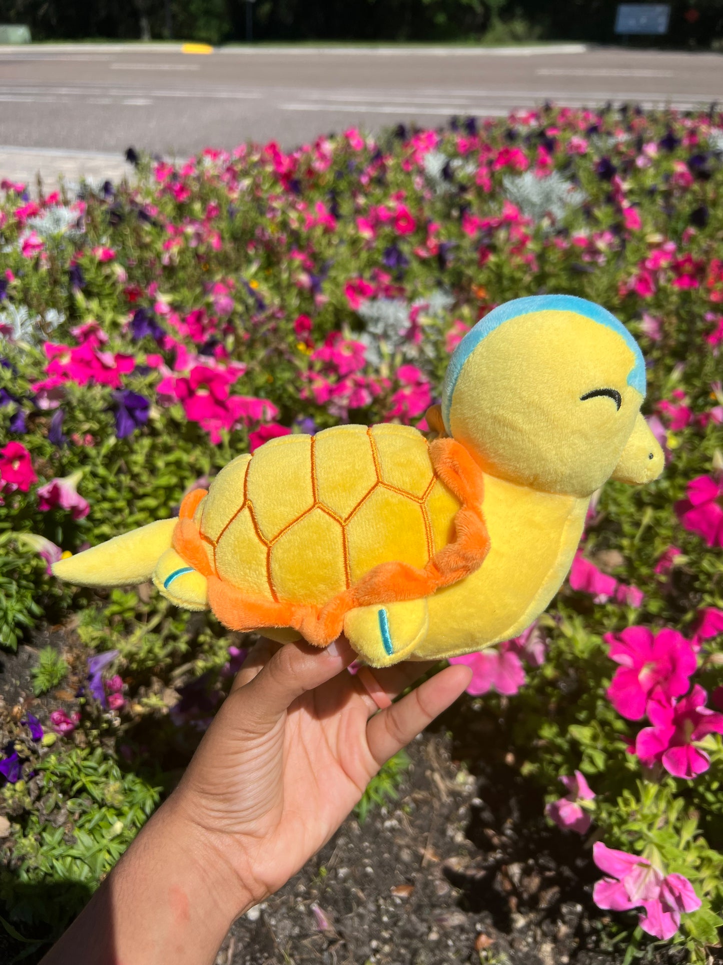 Aang Turtle Duck plush