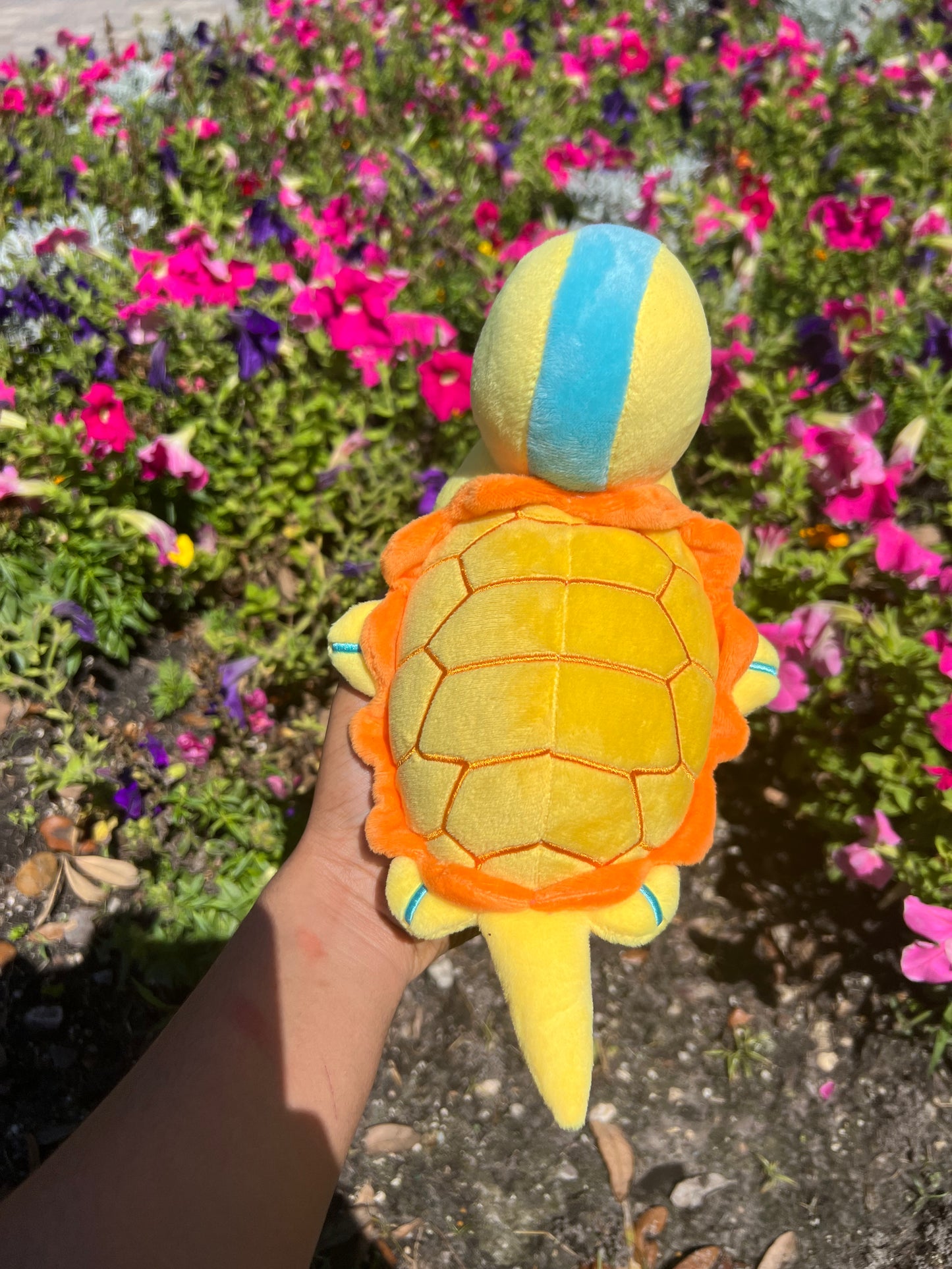 Aang Turtle Duck plush