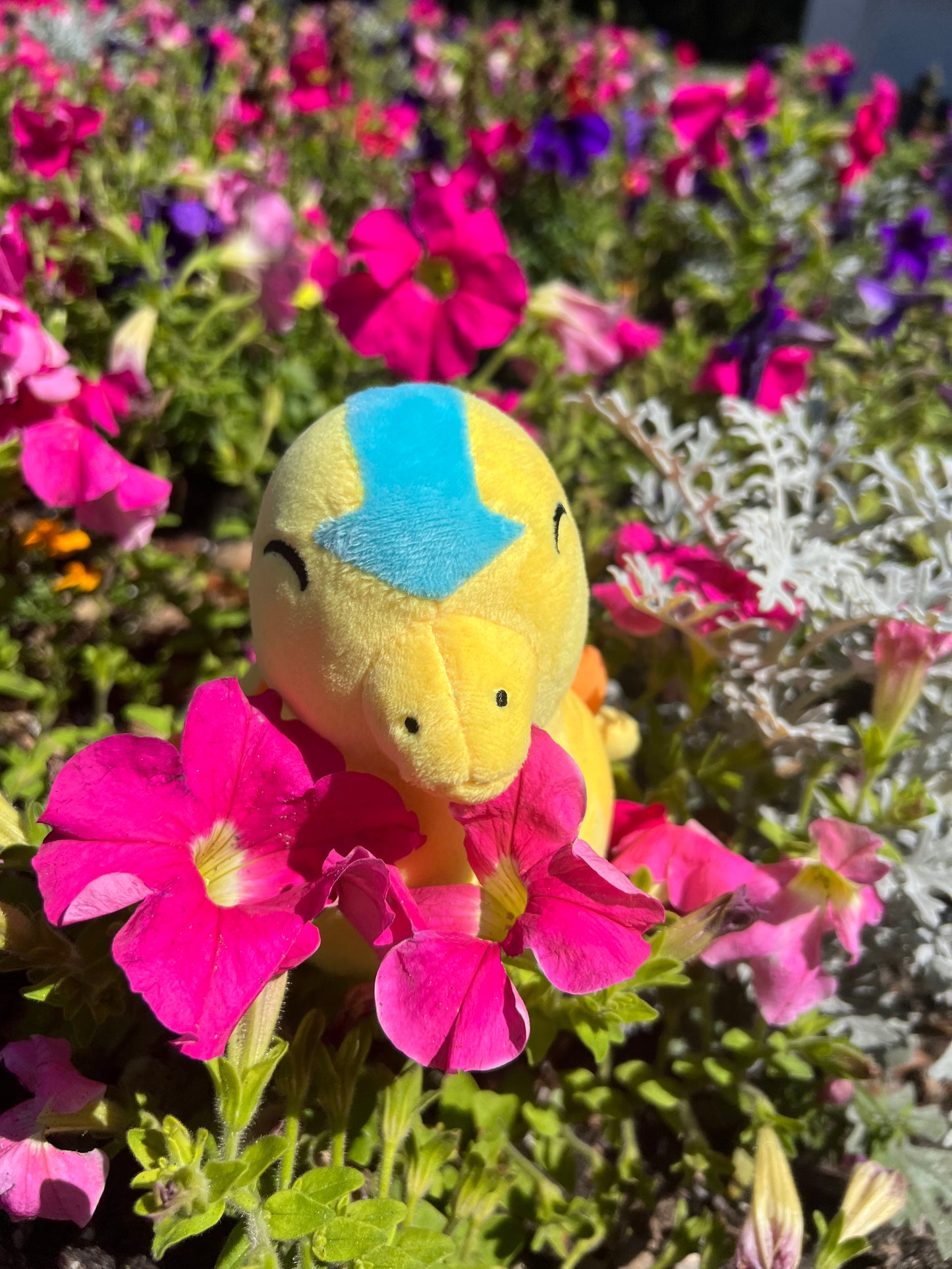 Aang Turtle Duck plush