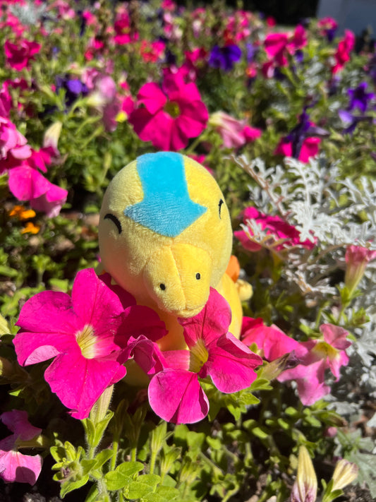 Aang Turtle Duck plush