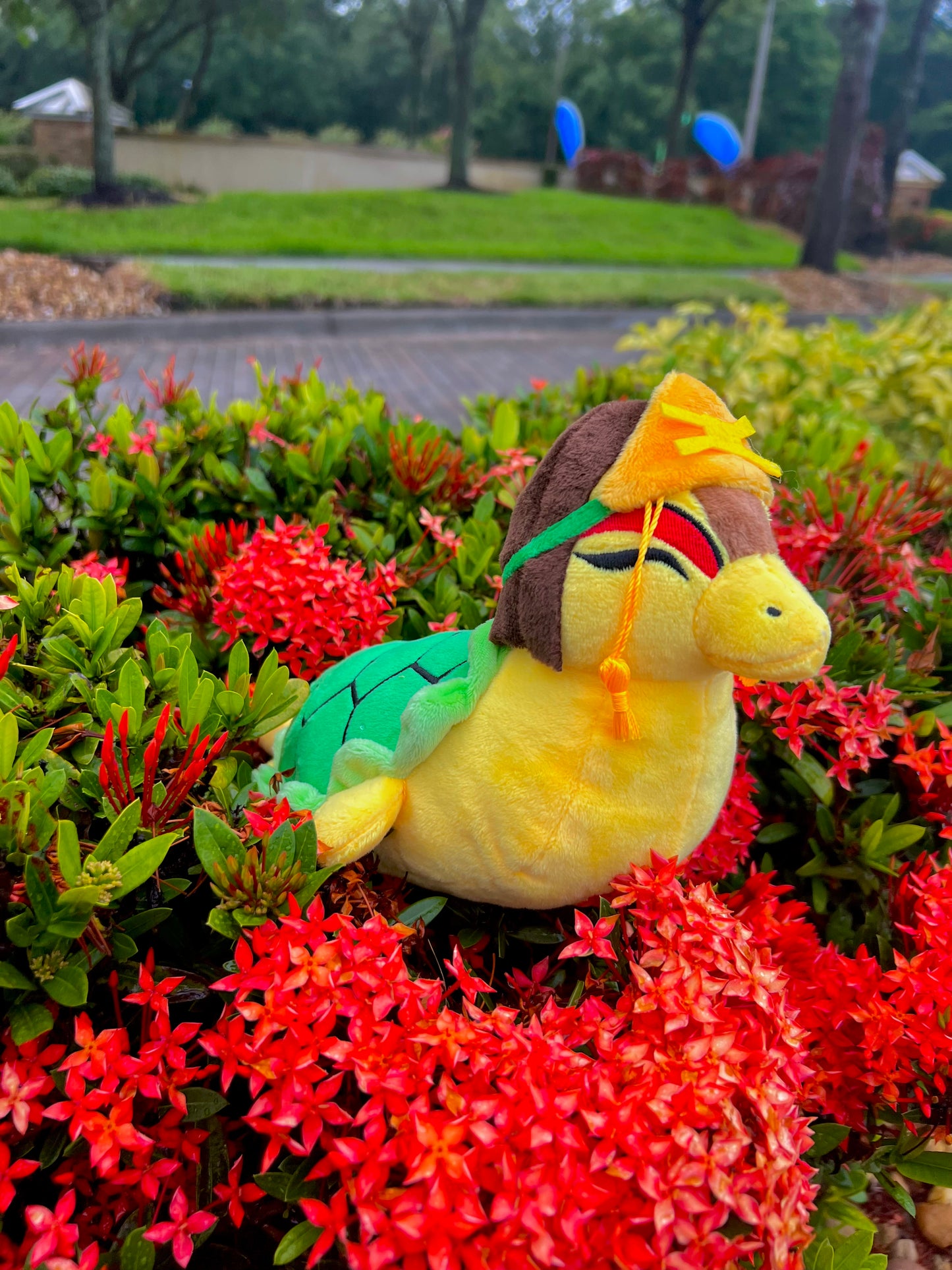 Suki Turtle Duck Plush