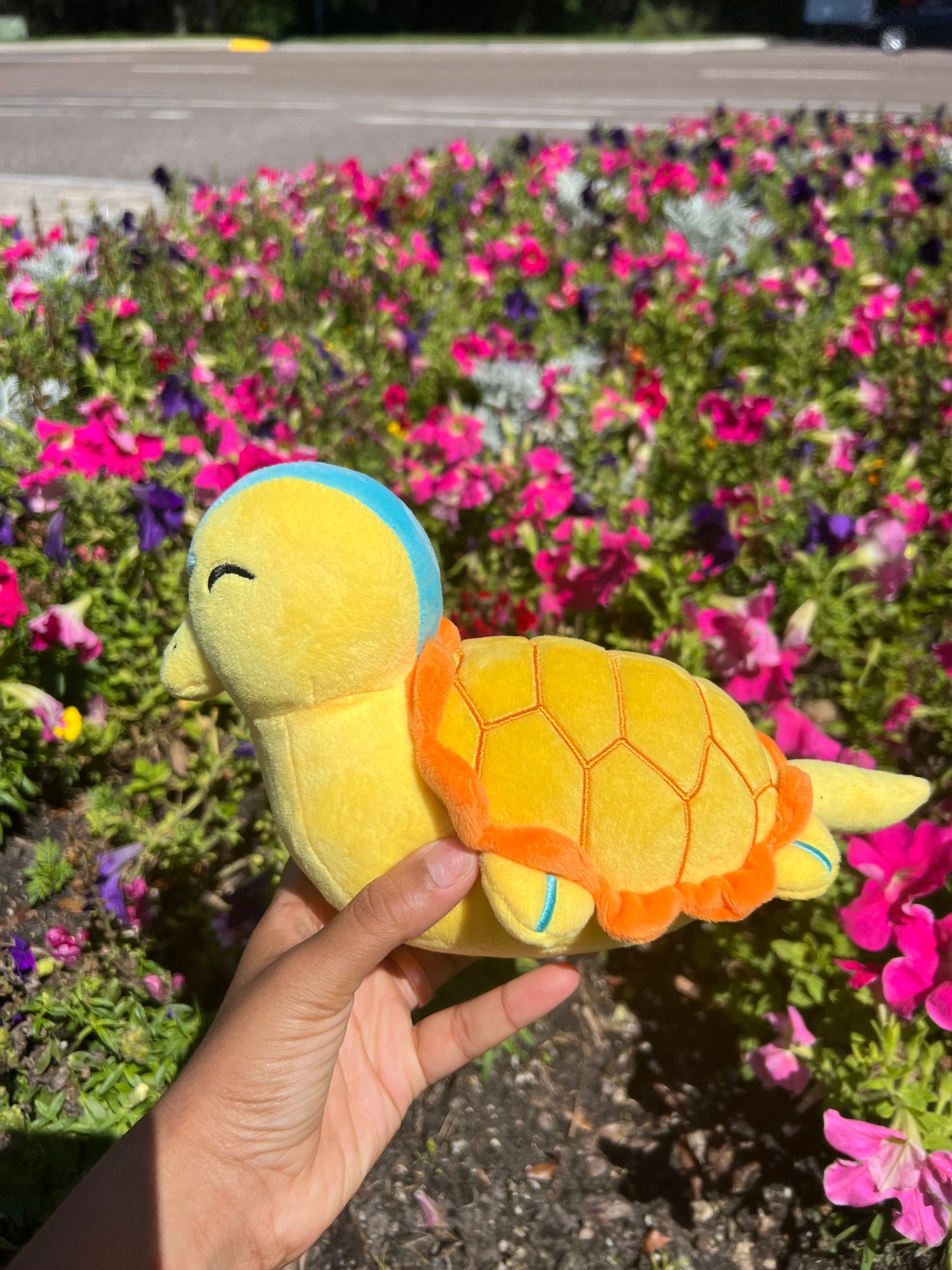 Aang Turtle Duck plush