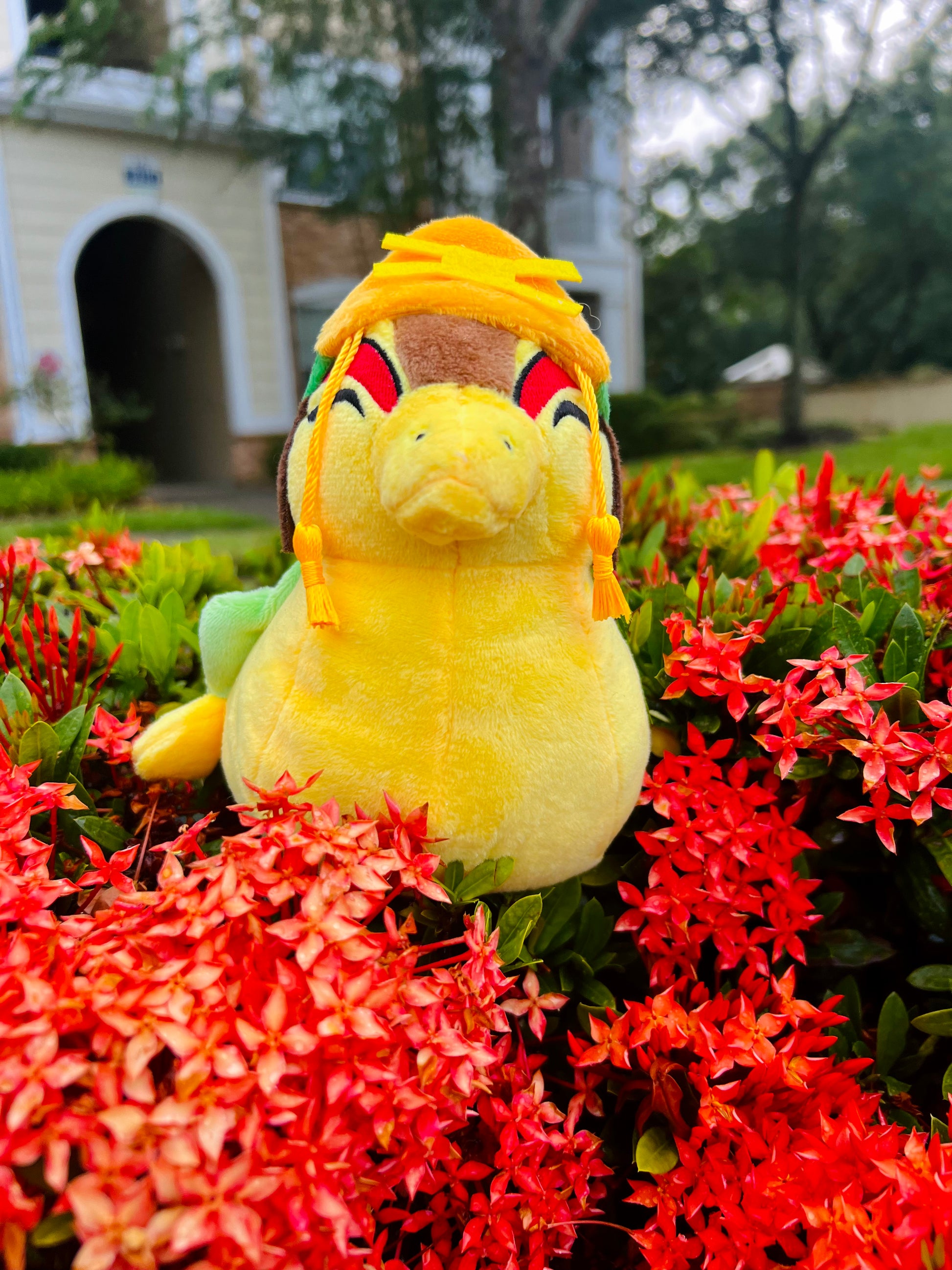 Suki Turtle Duck Plush